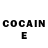 Cocaine Fish Scale Eren Ertas